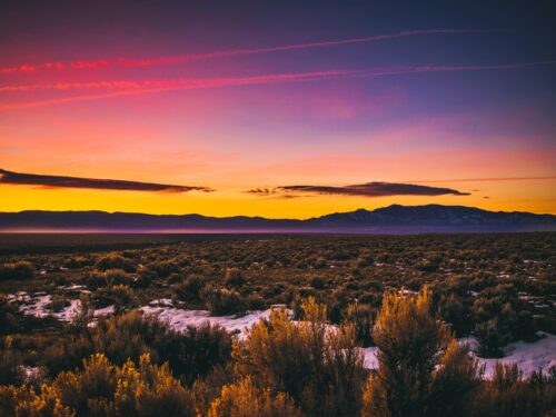 Great Matters: Zen, Literature, and the Southwest