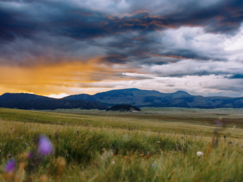 Nurture through Nature: Developing a Place-Based Unit for Connection and Stewardship