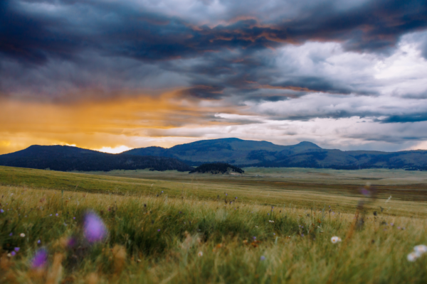 Nurture through Nature: Developing a Place-Based Unit for Connection and Stewardship